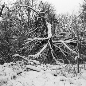 ����. ������. ����������� ����