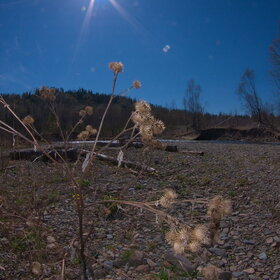 ������ ����. �������