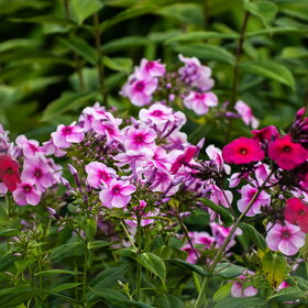 ����. ������. �������