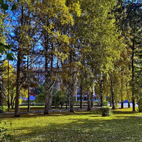 ����. ������. �������