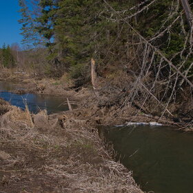 ������ ����. �������