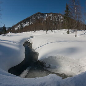 ����� ����. ���������� �� �����������