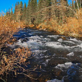 ������ ����. ���������� �� �����������