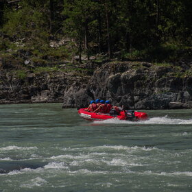 ������ ����. ���������� �� �����������