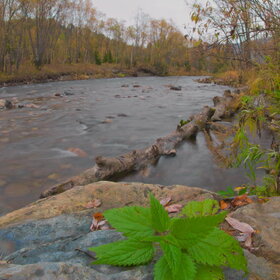 ������ ����. ���������� �� �����������