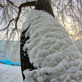 ����. ������. �������