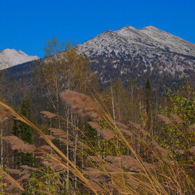 ������ ����. ���������� �� �����������