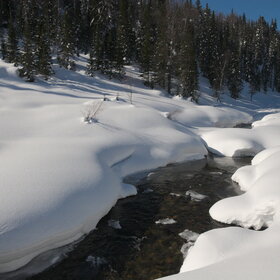 ������ ����. ���������� �� �����������