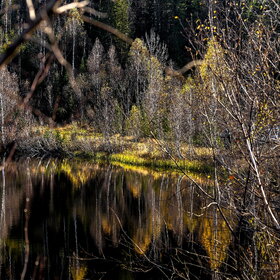 ����. ������. �������