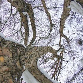 ����. ������. �������