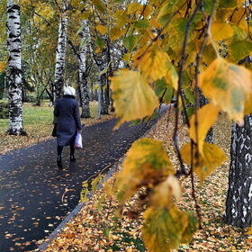 ������ ����. �������