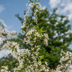 ����� ����. �������