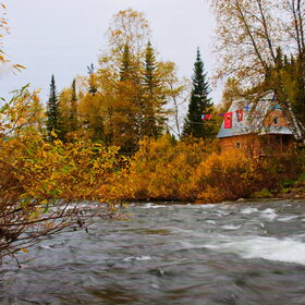 ������ ����. ���������� �� �����������