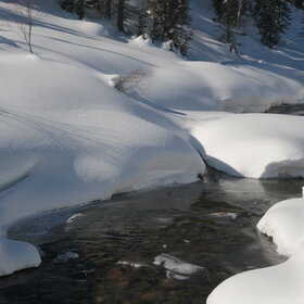 ������ ����. ���������� �� �����������