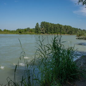 ����. ���� �� �����������. ���������� �� �����������