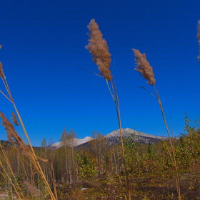 ������ ����. ���������� �� �����������