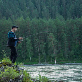 ������ ����. ���������� �� �����������