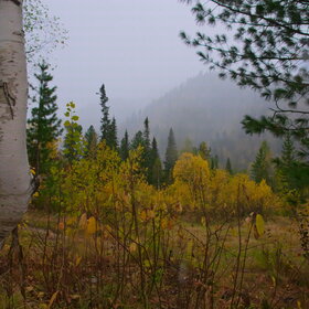 ������ ����. ���������� �� �����������