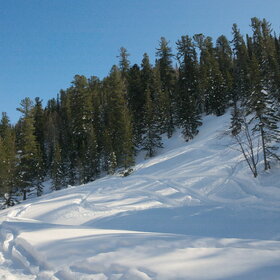 ������ ����. �����������