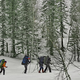 ������ ����. ���������� �� �����������