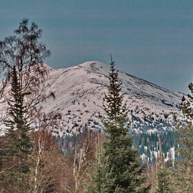 ����� ����. ���������� �� �����������