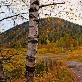 ������ ����. ���������� �� �����������