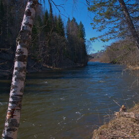 ������ ����. �������