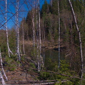 ����� ����. �������