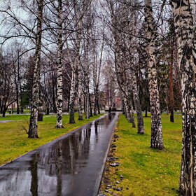 ����. ���� �� �����������. �������