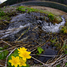 ����� ����. �������