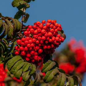 Лучшие фото. ПРИРОДА (0)