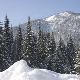 ����� ����. ���������� �� �����������