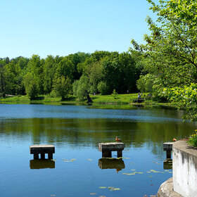 ����. ������. ������� ����������� ����