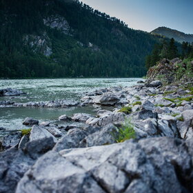 ����. ���� �� �����������. ���������� �� �����������