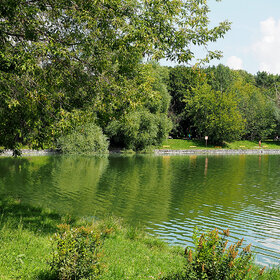 ����. ����. � ��������� �����