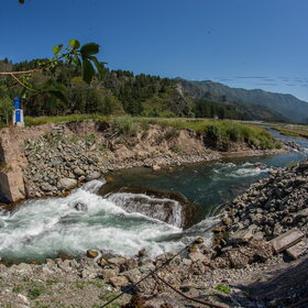 ������ ����. ���������� �� �����������