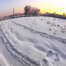 ������ ����. �������