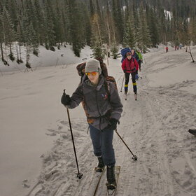 ����� ����. ���������� �� �����������