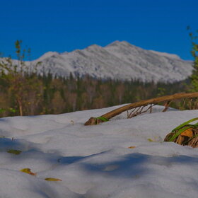 ����� ����. ���������� �� �����������