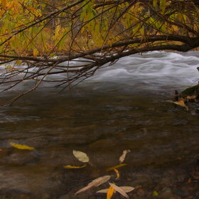 ������ ����. ���������� �� �����������