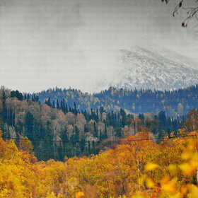 ������ ����. ���������� �� �����������