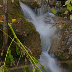 ������ ����. ���������� �� �����������