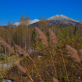 ����. ���� �� �����������. ���������� �� �����������