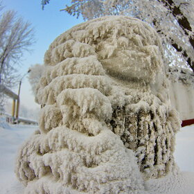 ����. ������. �������