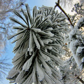 ����. ������. �������