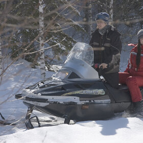 ������ ����. ���������� �� �����������