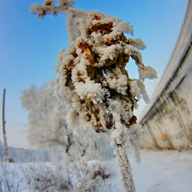 ����. ������. �������