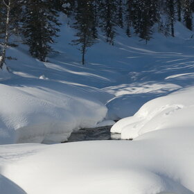 ������ ����. ���������� �� �����������