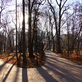 Осенний парк Кулибина