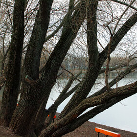 ����. ������. ���� �����